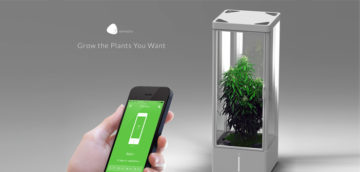 7Sensors Back with Grow Box to Allow Plants Grow Inside the Homes Easily